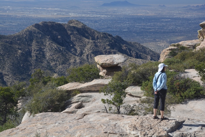 shot from Windy Point Vista